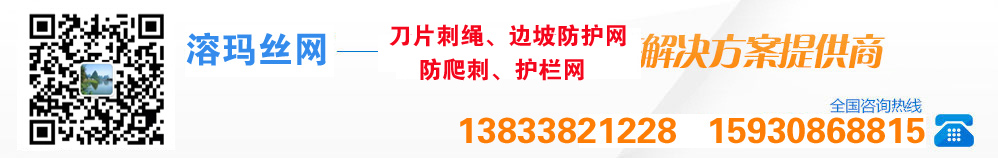 包裝機、灌裝生產線定制