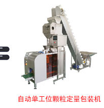 全自動單工位顆粒定量包裝機